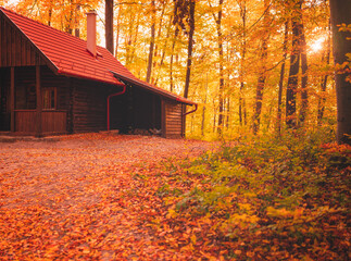 Cozy Wooden Cabin in Autumn Forest with Colorful Fall Foliage