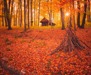 Cozy Wooden Cabin in Autumn Forest with Colorful Fall Foliage