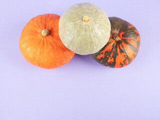 Three colorful pumpkins on purple background