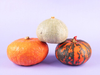 Three colorful pumpkins on purple background