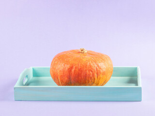 Vibrant orange pumpkin on purple background on turquoise tray
