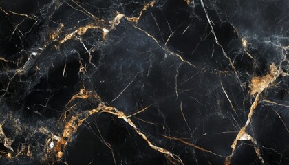 The image shows a detailed close-up of black marble with thin, gold-colored veins throughout the stone's surface.