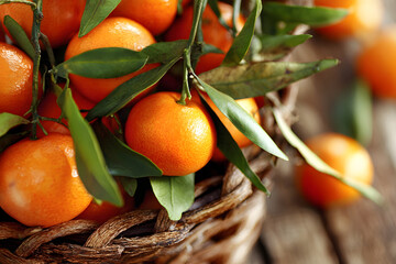 Rustic Basket Filled with Fresh Clementines