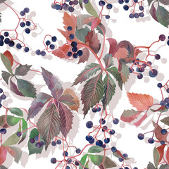 seamless pattern with leaves and berries wild grape vine