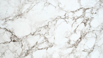 Naklejka premium The image shows a detailed close-up of a white marble surface with a network of thin gray veins throughout.