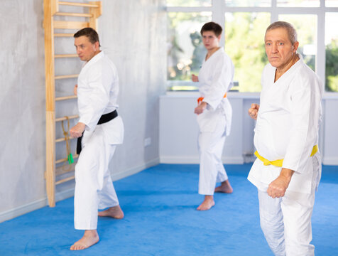 Focused experienced aged judo fighter in kimono standing in attacking stance, practicing punching and blocking techniques as part of kata with group of men