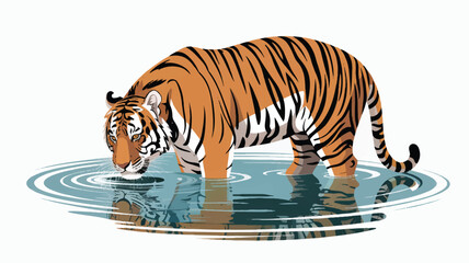 Majestic tiger drinking from a water pool