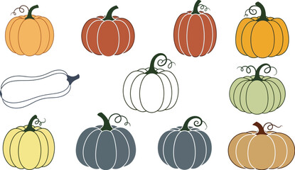 Colorful pumpkins and squash vector illustration for fall harvest and thanksgiving designs