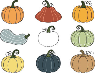 Colorful pumpkins and gourds illustration for autumn harvest and thanksgiving designs