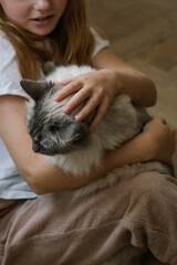Girl holding a fluffy ragdoll cat
