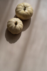 White decorative pumpkins, soft shadows, beige background, top view autumn aesthetic, copy space	
