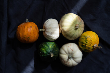 Decorative pumpkins on black fabric background with ray of light, autumn aesthetic minimalism	