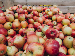 Top view of red apples arranged in pattern, fresh fruit background for healthy lifestyle and food concept