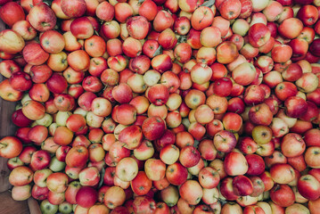 Top view of red apples arranged in pattern, fresh fruit background for healthy lifestyle and food concept