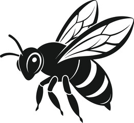 Black bee isolated on white background