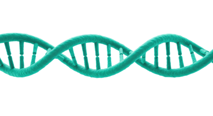 Exploring The Microscopic World Isolated on Transparent PNG Background.