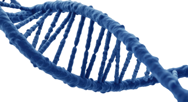 The Core Of Every Organism Isolated on Transparent PNG Background. - Powered by Adobe