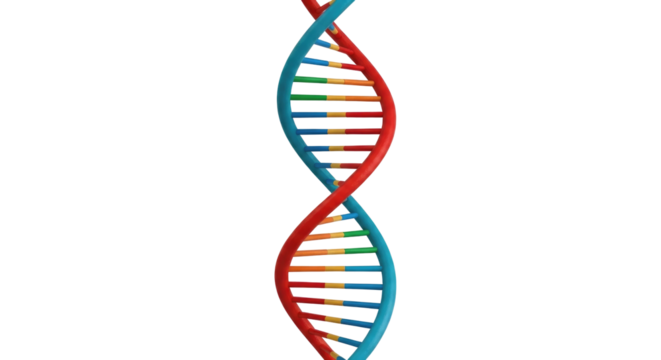 Unlocking Biological Secrets Isolated on Transparent PNG Background.