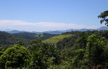 mountain landscape with trees