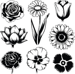 Hand Drawn Flower Brush Silhouette Collection Floral Brush Icon Silhouette Design Set