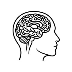 Outline of a human head showing the brain, isolated on transparent background