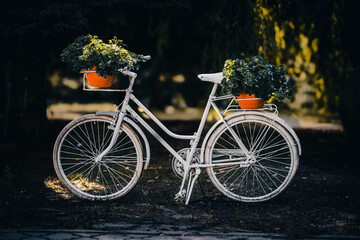 old bicycle in the street © Marcin