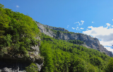 Rocky Cliff and Green Forest under Blue Sky