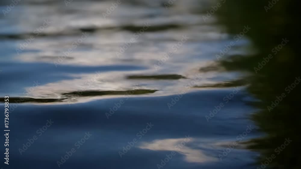 Canvas Prints a slow, macro close-up reveals abstract, ever-changing light patterns dancing on the surface of a tr
