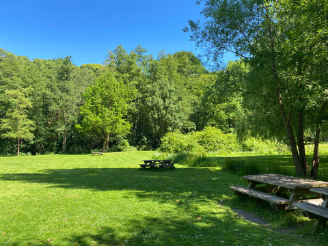 Sunny Park with Picnic Tables and Green Lawn
