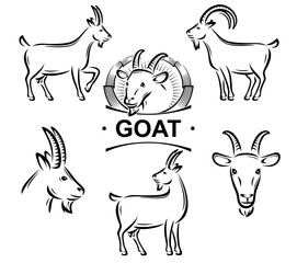 Goat set. Collection icons goat. Vector