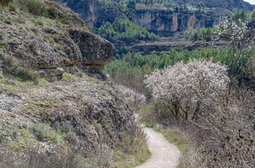 Trail in the Jucar River Gorge, near the town of Cuenca, Spain