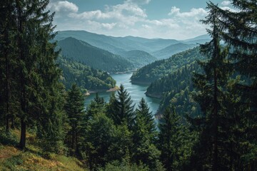 Obraz premium Stunning landscape view of a tranquil lake surrounded by lush pine forest under a blue sky with fluffy clouds
