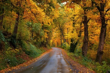 Colorful autumn road winding through a yellow and orange forest showcasing the beauty of fall foliage in a peaceful, scenic landscape