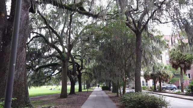 Walking a city block with causing traffic through a park