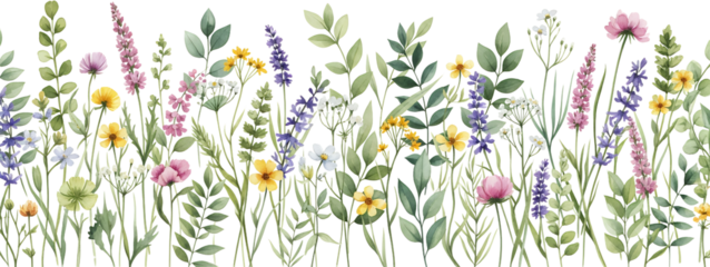Watercolor depiction of a lush border filled with diverse wildflowers featuring pink purple and yellow blooms alongside verdant green foliage floral nature