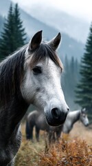 Majestic gray horse in misty forest with distant companions at dawn