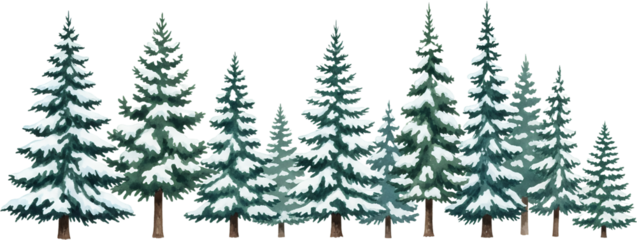 A line of snow covered pine trees in a watercolor style showcasing varying heights and dense foliage against a transparent background forest winter nature