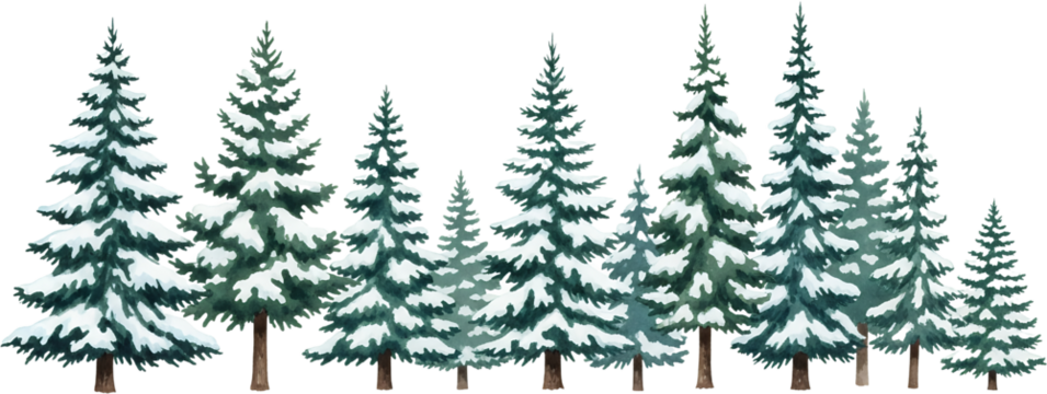 A line of snow covered pine trees in a watercolor style showcasing varying heights and dense foliage against a transparent background forest winter nature