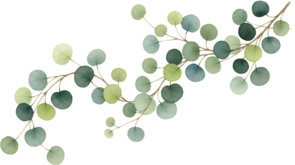 Delicate watercolor eucalyptus branches with round leaves in varying shades of green and blue on a transparent background nature botanical plant flora