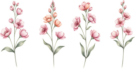 Naklejka premium Delicate pink and peach blossoms on slender stems with subtle green leaves depicted in watercolor style set against a transparent background pink flowers
