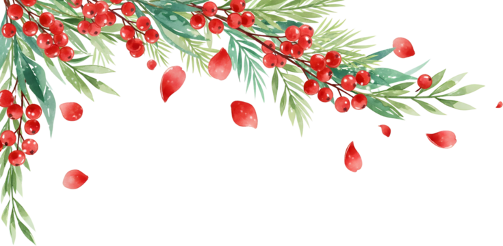 Watercolor illustration of evergreen branches with bright red berries and scattered red petals on a transparent background christmas winter holiday decoration