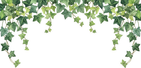Overhead Border Of Lush Green Ivy Vines With Detailed Leaves Cascading Downwards On A Transparent Background Showcasing Organic Growth And Natural Textures Plant