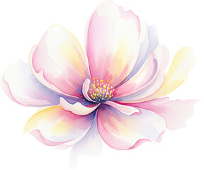 Delicate Watercolor Painting Of A Blooming Flower With Soft Pink White And Yellow Petals Revealing Intricate Stamen Details Against A Transparent Background