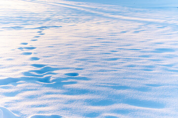 Pristine white snow surface with soft blue shadows creating natural texture pattern. Winter landscape showing fresh snowfall with gentle undulations and cold blue tones.