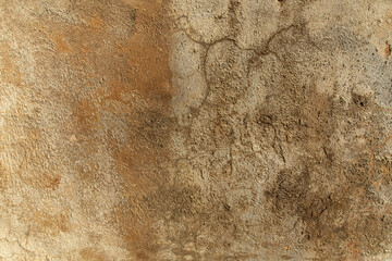Pared cemento