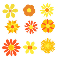 Fototapeta premium Collection of Colorful Floral Illustrations with Red, Orange, and Yellow Petals – Decorative Flowers for Spring, Summer, and Seasonal Designs