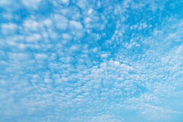 The sky is blue with many clouds. The clouds are scattered throughout the sky and are of various sizes. The sky is clear and bright, with no signs of rain or storms. Concept of calm and tranquility