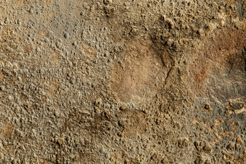 Pared cemento