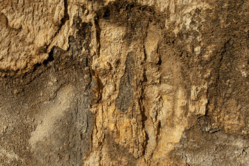 Pared cemento