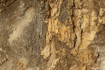 Pared cemento